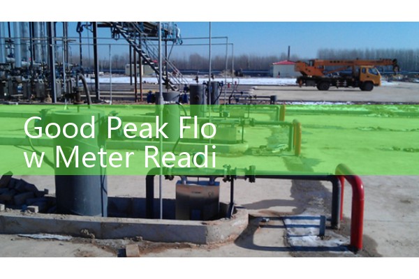 Good Peak Flow Meter Reading Range: Tracking Daily Normal Expiratory Volumes for Lung Health